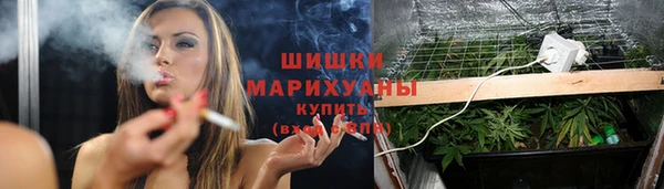 MDMA Premium VHQ Новозыбков