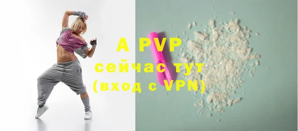 apvp Новодвинск