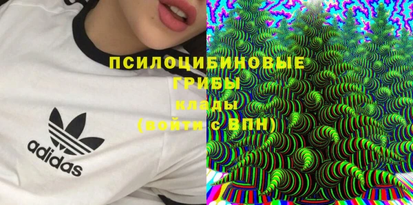 apvp Новодвинск