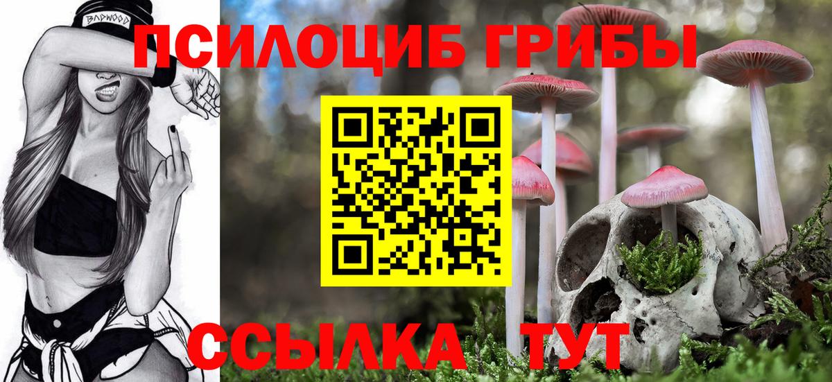 Псилоцибиновые грибы мицелий  Большой Камень 