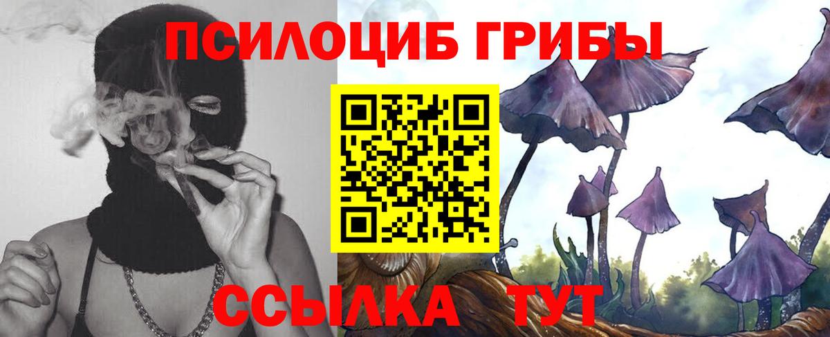 Большой Камень  Галлюциногенные грибы GOLDEN TEACHER  Вход с VPN 