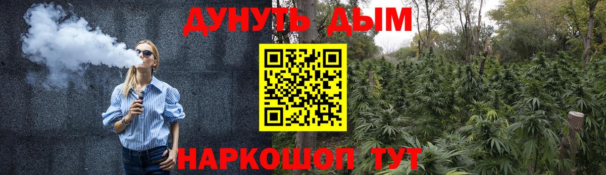 Большой Камень  Канабис SATIVA & INDICA  Бошки марихуана план  Каннабис план  Вход с VPN 